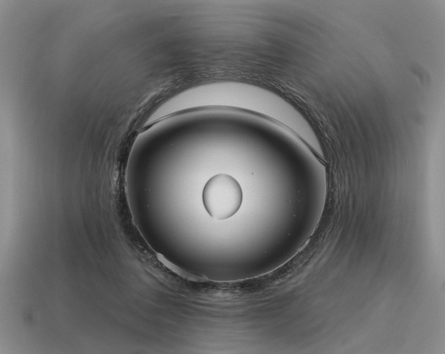 X0000115610308200911101433