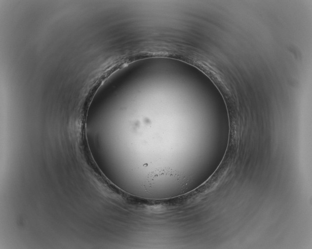 X0000115610309200911101433