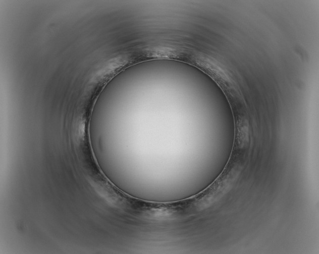 X0000115610310200911101433