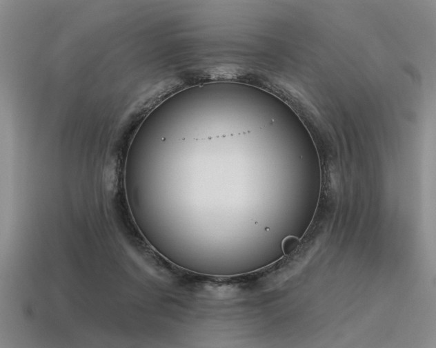 X0000115610311200911101433
