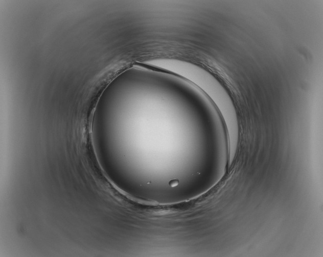 X0000115610313200911101433