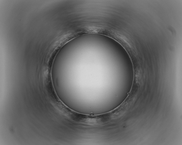 X0000115610314200911101433