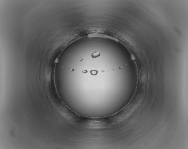 X0000115610315200911101432
