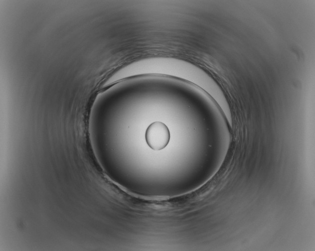 X0000115610317200911101432