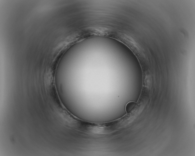 X0000115610318200911101432