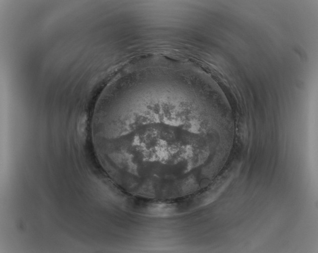 X0000115610319200911101432