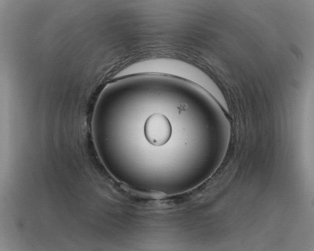 X0000115610320200911101432
