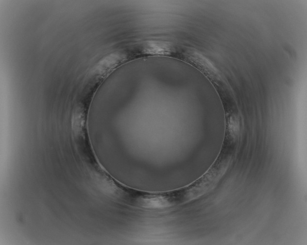 X0000115610322200911101432