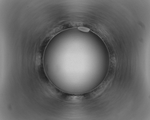 X0000115610323200911101432