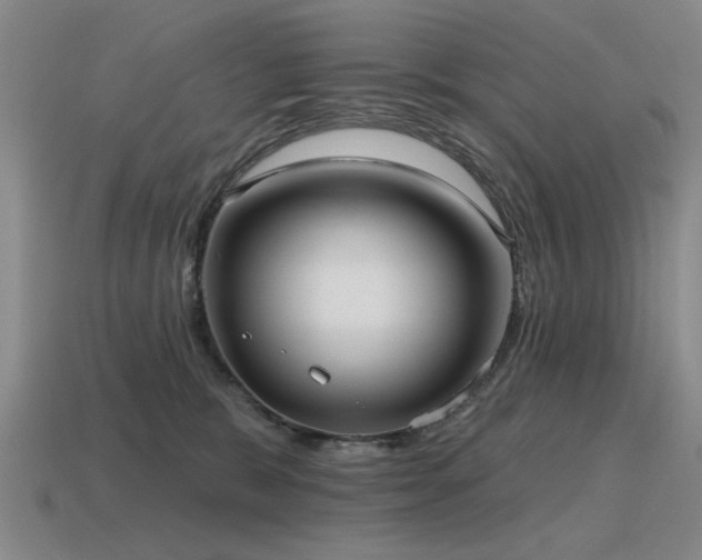 X0000115610327200911101432
