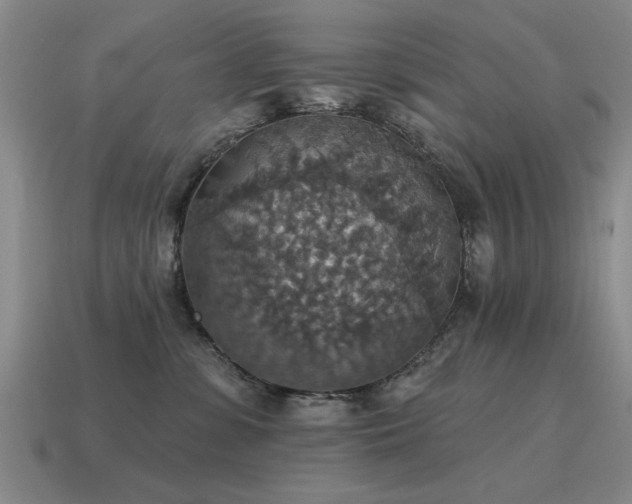 X0000115610331200911101432