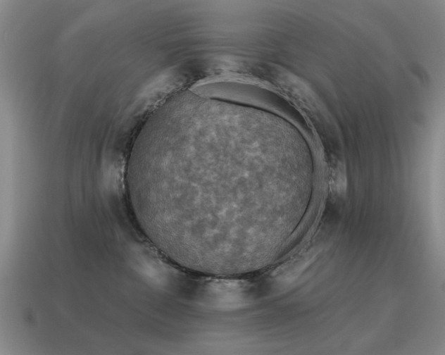 X0000115610332200911101432