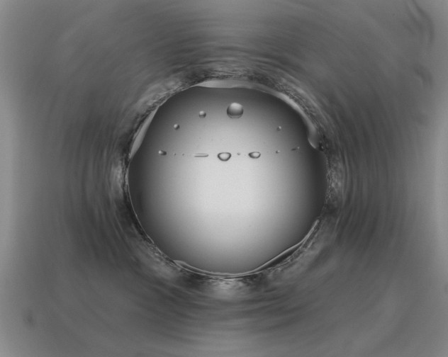 X0000115610333200911101432
