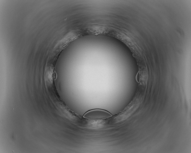 X0000115610334200911101432