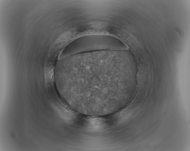 X0000115610336200911101432