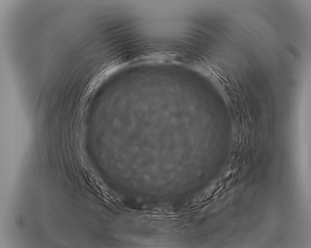 X0000115610337200911101431