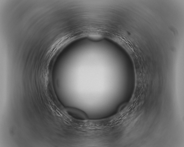 X0000115610338200911101431