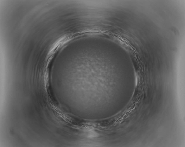 X0000115610339200911101431