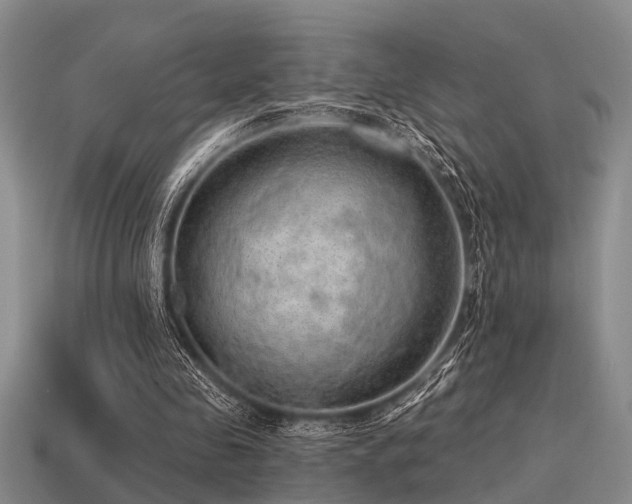 X0000115610341200911101431