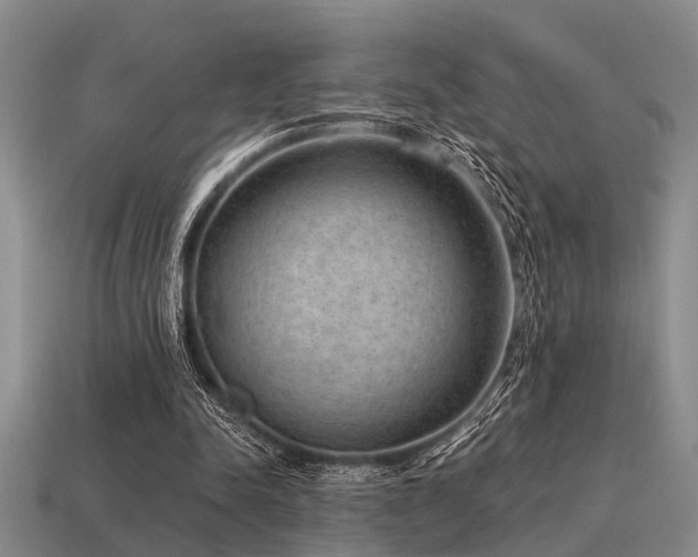 X0000115610342200911101432