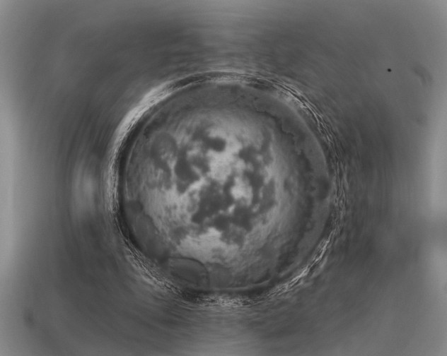 X0000115610343200911101432