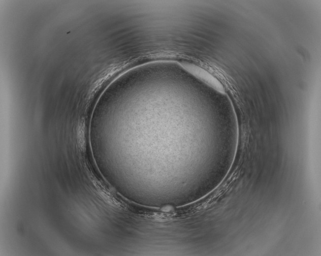 X0000115610345200911101432