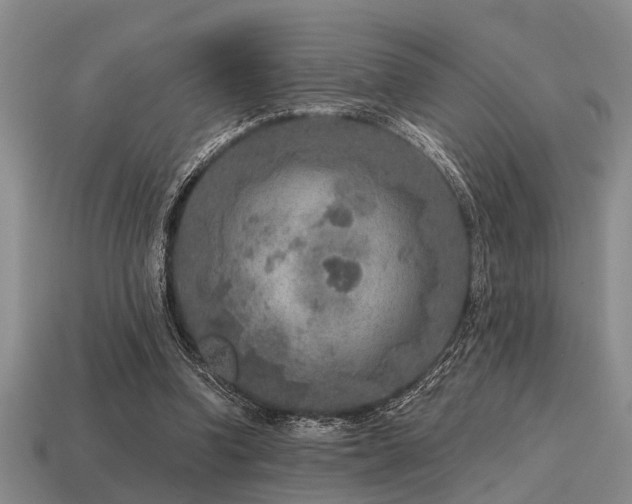 X0000115610346200911101432