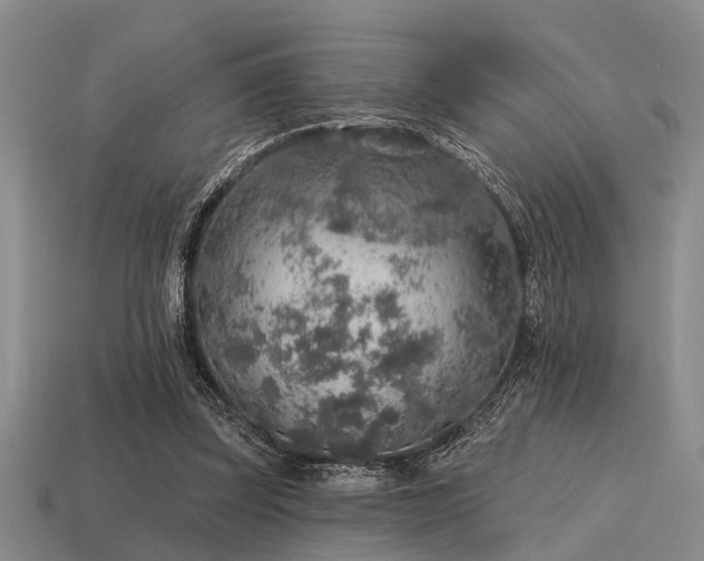 X0000115610347200911101432