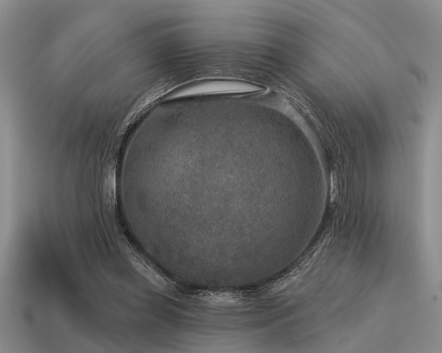 X0000115610349200911101432