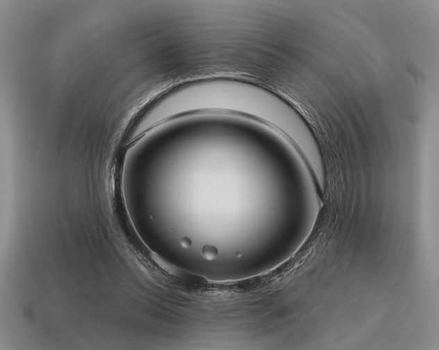 X0000115610350200911101432