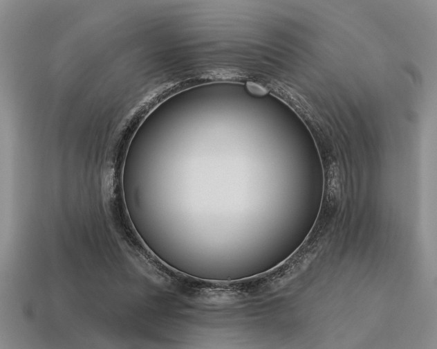 X0000115610351200911101432