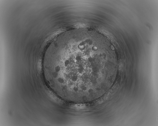 X0000115610353200911101432
