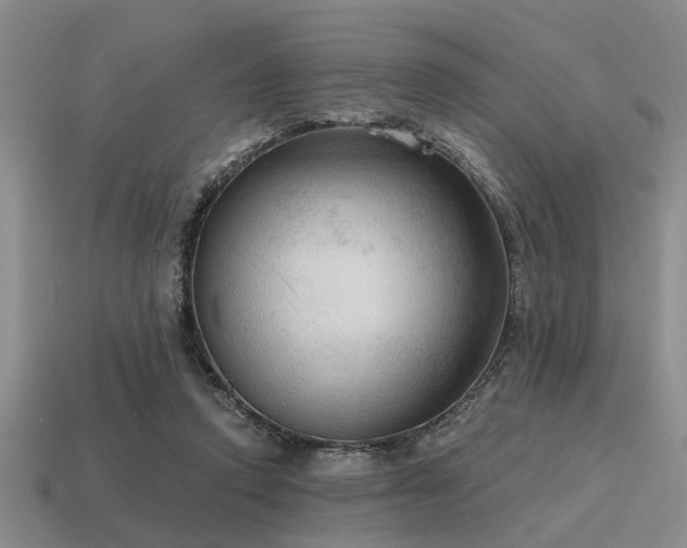 X0000115610354200911101432