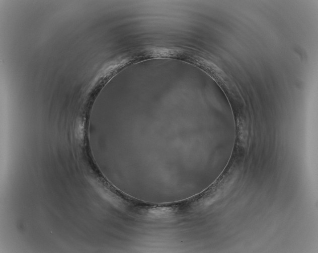 X0000115610357200911101432