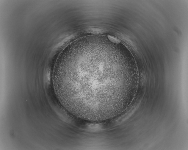 X0000115610358200911101432