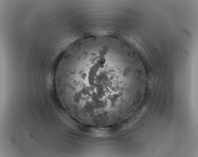 X0000115610359200911101432