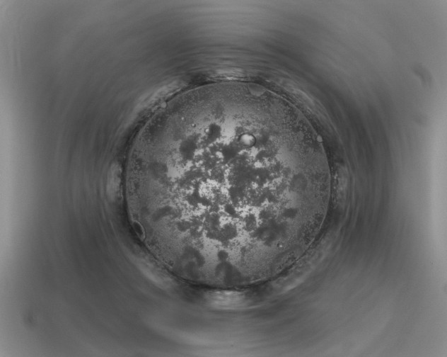 X0000115610361200911101432