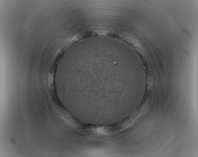 X0000115610365200911101432