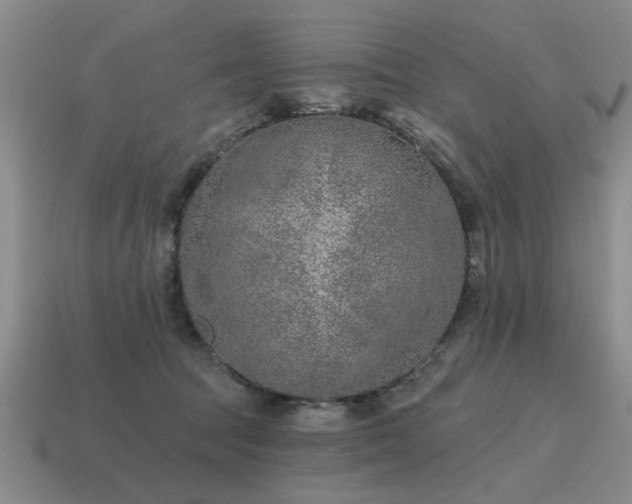 X0000115610369200911101432