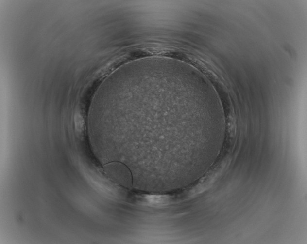 X0000115610371200911101432