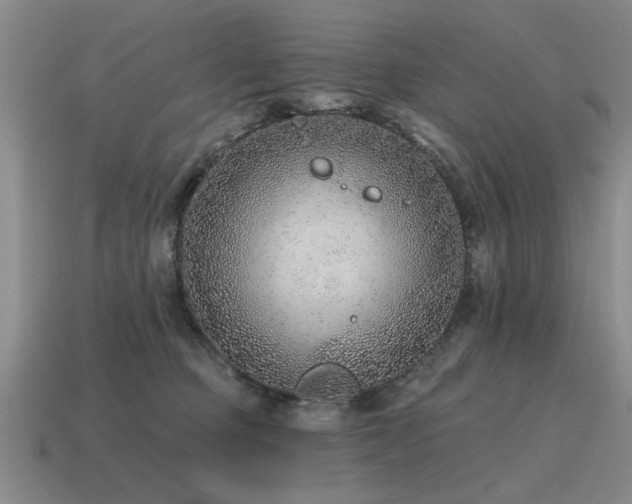 X0000115610373200911101432