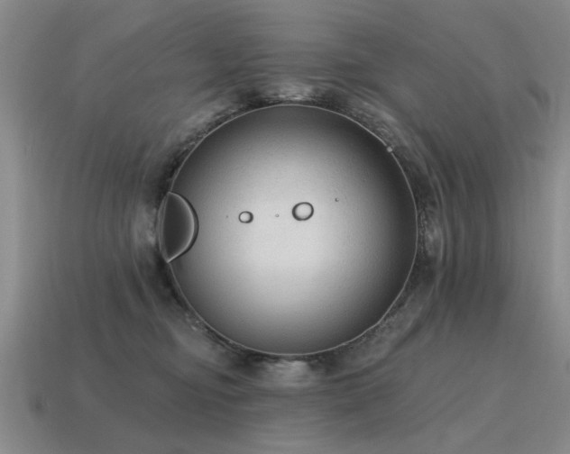 X0000115610374200911101432