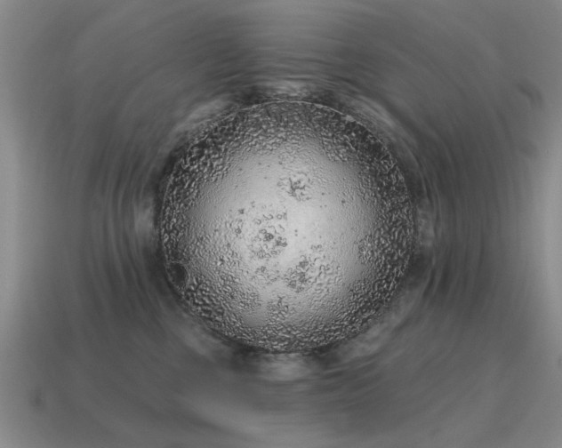 X0000115610377200911101432