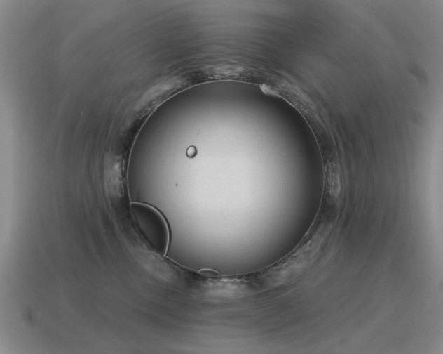X0000115610378200911101432