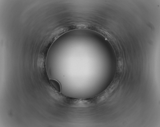 X0000115610379200911101432