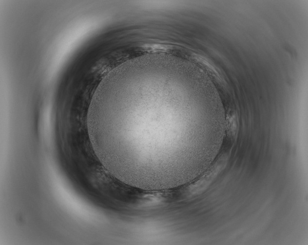 X0000115610381200911101432