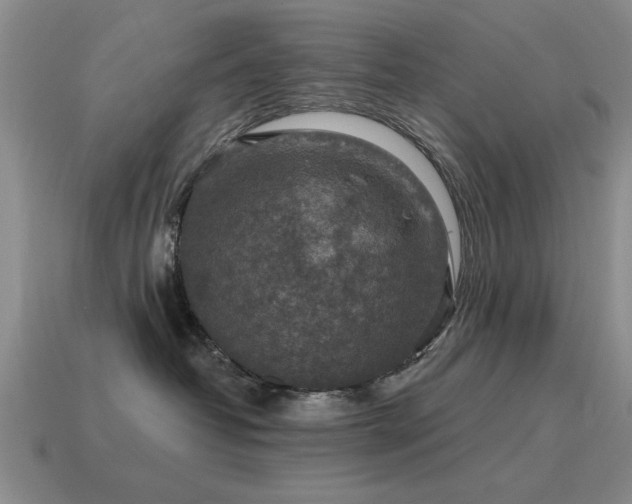 X0000115610382200911101432