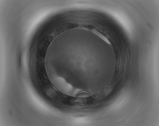 X0000115610383200911101432