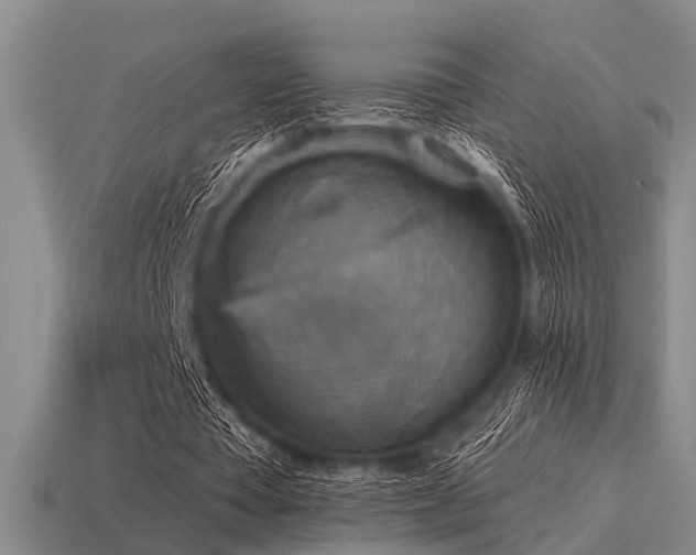 X0000115610385200911101431