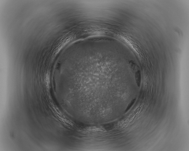 X0000115610386200911101431